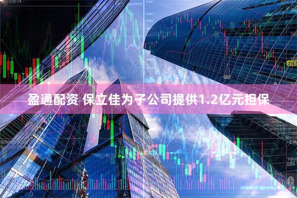 盈通配资 保立佳为子公司提供1.2亿元担保