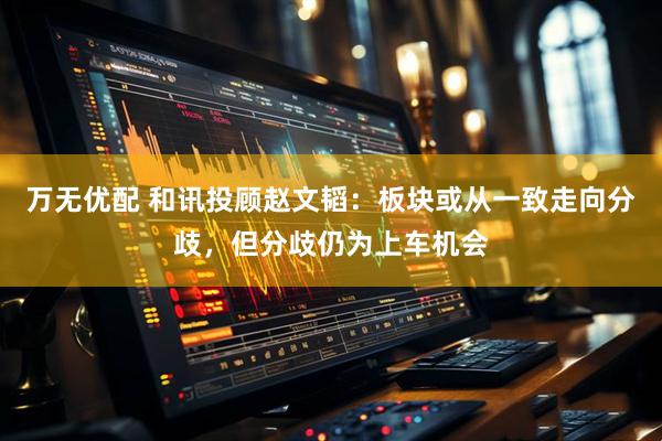 万无优配 和讯投顾赵文韬：板块或从一致走向分歧，但分歧仍为上车机会