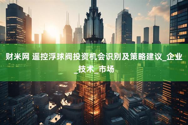 财米网 遥控浮球阀投资机会识别及策略建议_企业_技术_市场