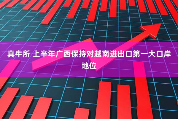 真牛所 上半年广西保持对越南进出口第一大口岸地位