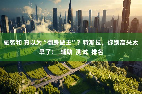 融智和 真以为“翻身做主”？特斯拉，你别高兴太早了！_辅助_测试_排名