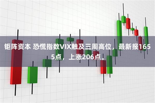 钜阵资本 恐慌指数VIX触及三周高位，最新报1655点，上涨206点。